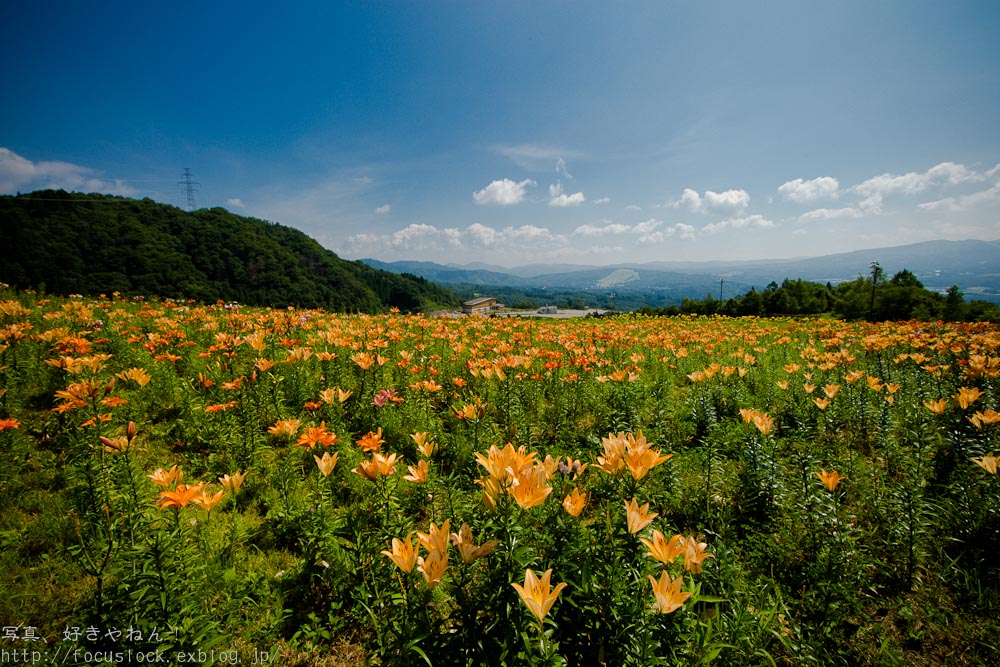 f0220502_2085768.jpg