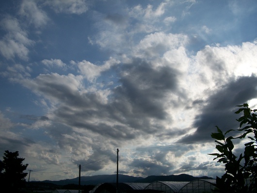d0168003_20223639.jpg
