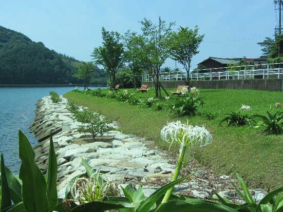 d0154609_16301410.jpg