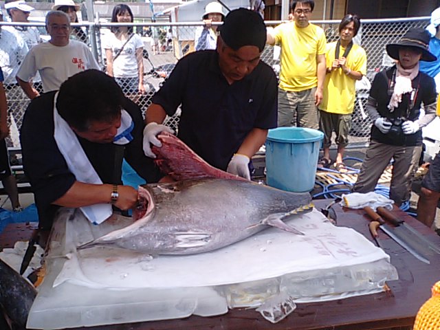 f0231709_15283964.jpg