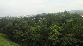 e0139312_8564523.jpg
