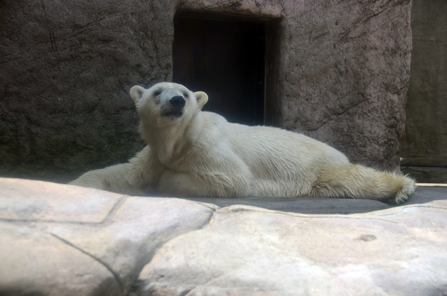 a0151913_2232359.jpg