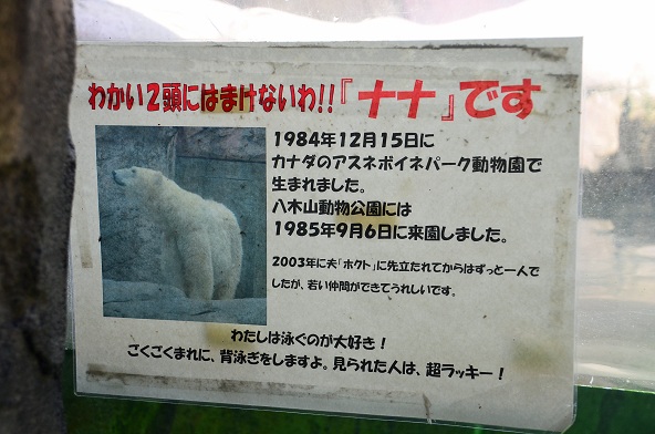 a0151913_2233050.jpg