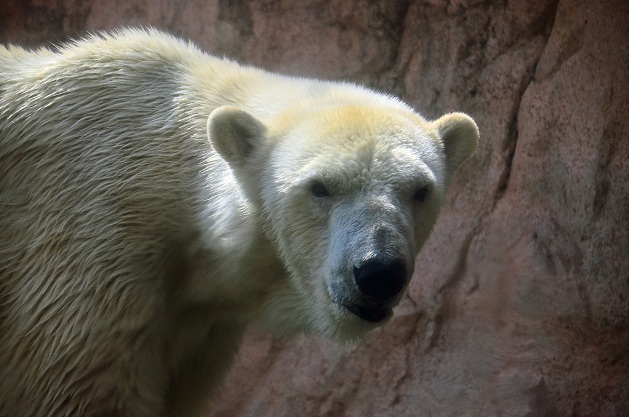 a0151913_2244270.jpg