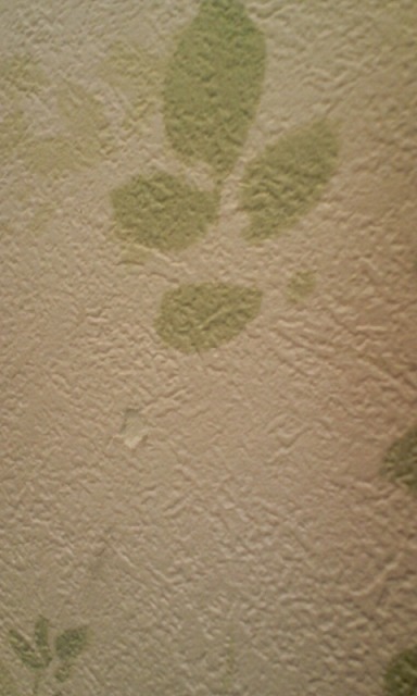 a0128917_21504262.jpg