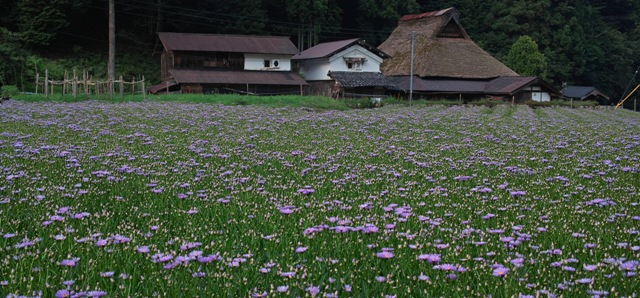 c0044819_558439.jpg