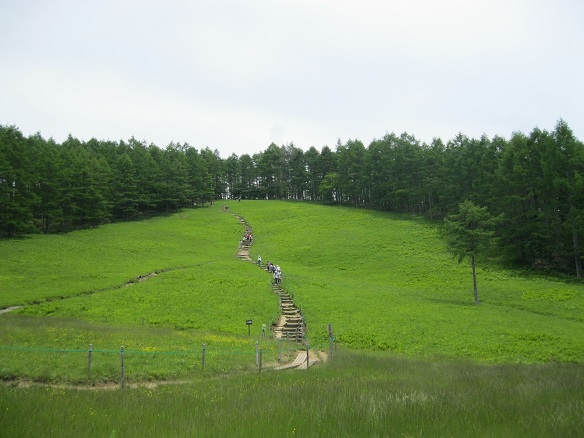 e0201021_11472234.jpg