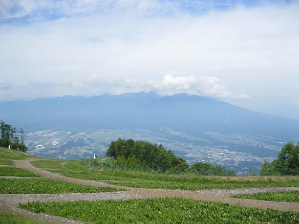 e0201021_1204935.jpg