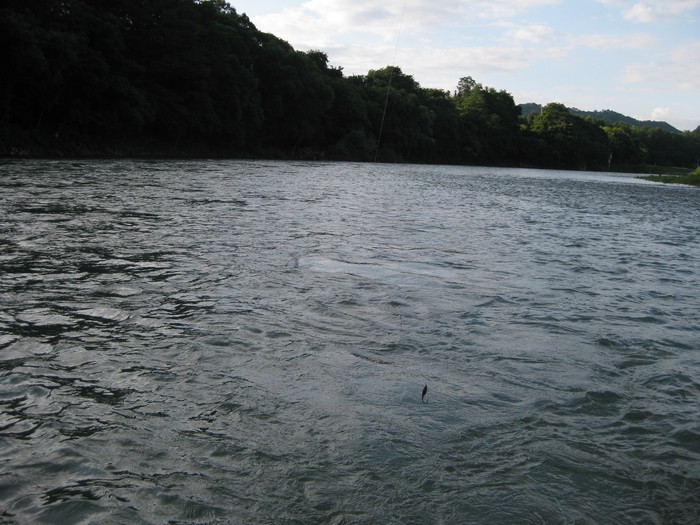 f0090131_12481467.jpg