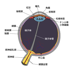 b0195635_8204894.png