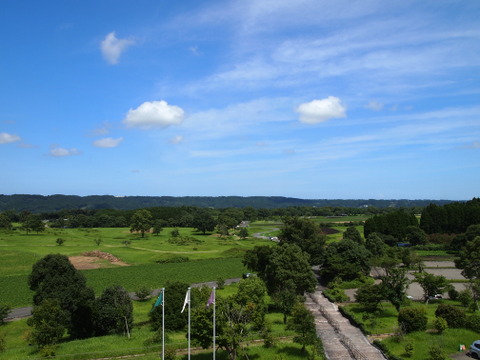 b0199742_13414012.jpg