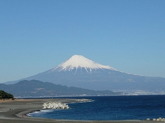 d0138650_1833777.jpg