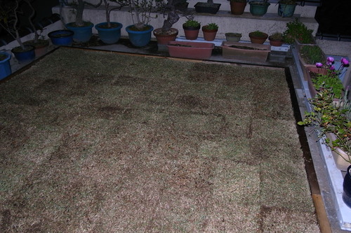 b0250353_156353.jpg