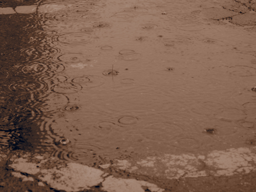 f0216353_22441022.jpg