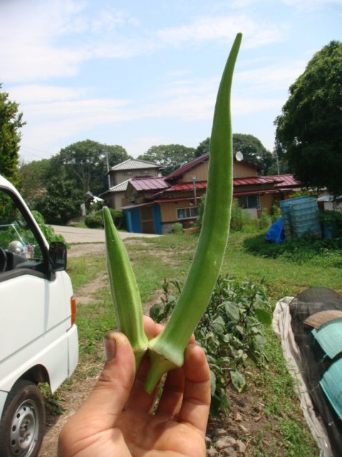 c0074157_2318983.jpg