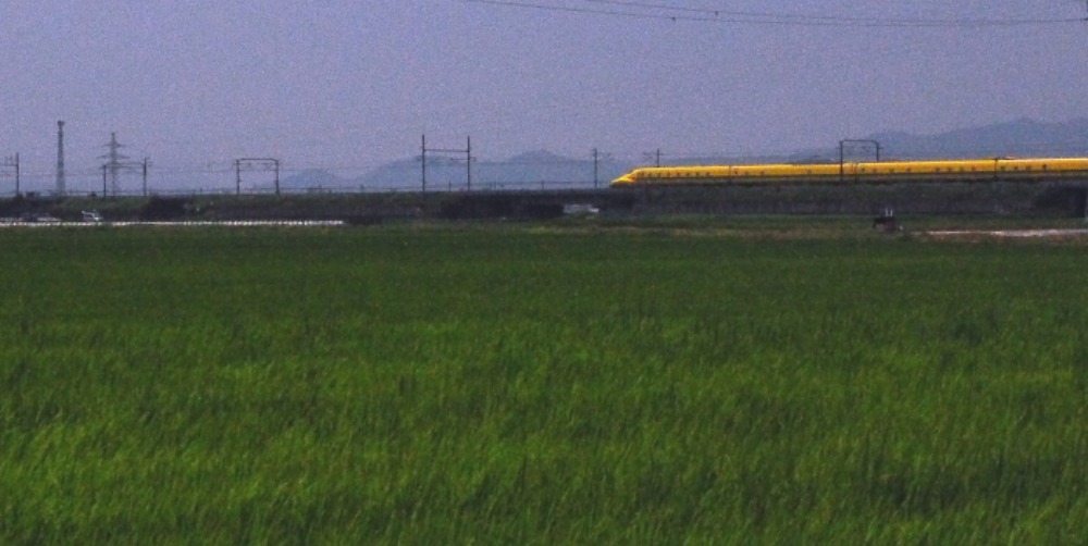 a0150260_019195.jpg