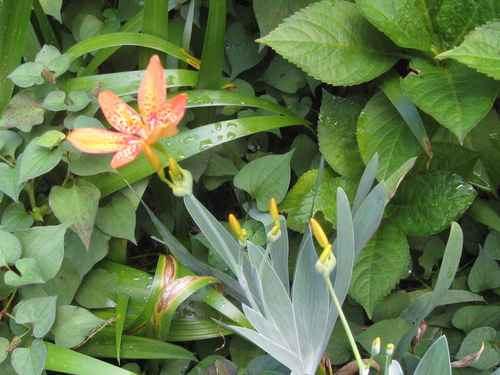 b0267163_17345440.jpg