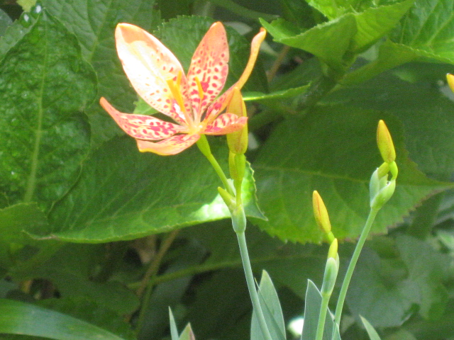 b0267163_17354635.jpg