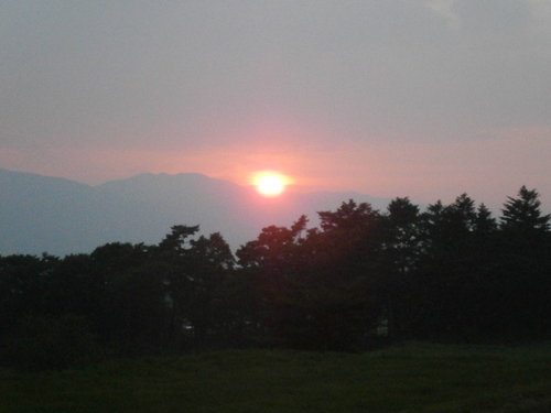 a0240971_759818.jpg