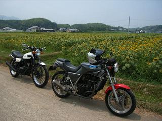 a0064474_20422546.jpg