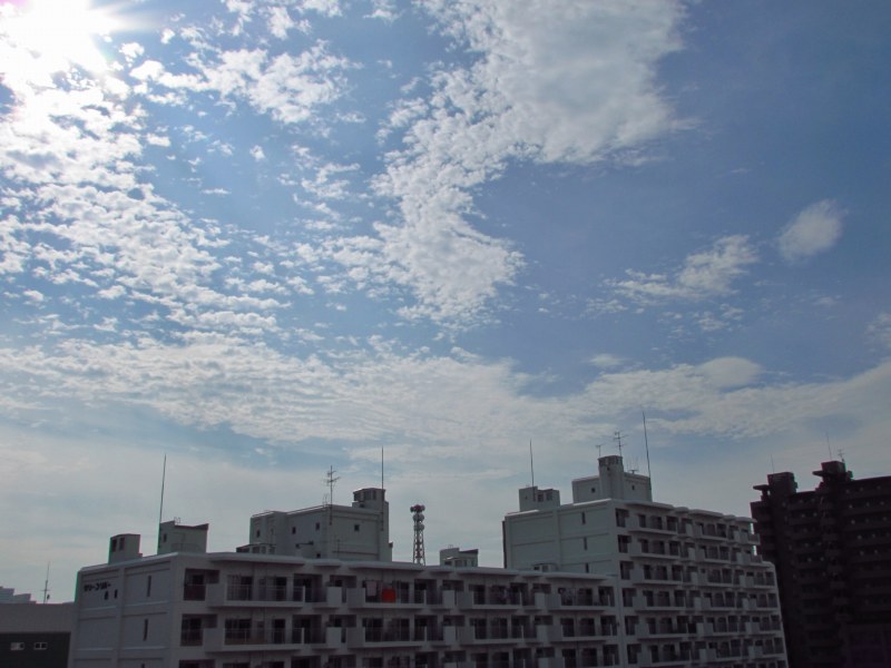 c0183777_10453960.jpg