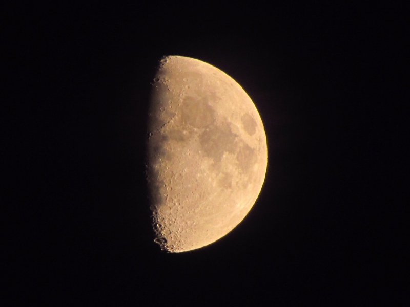 c0183777_10562012.jpg