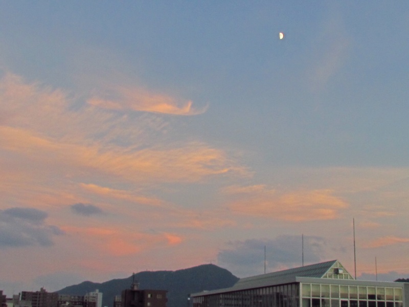 c0183777_1056440.jpg