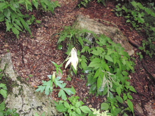 f0223480_16534491.jpg
