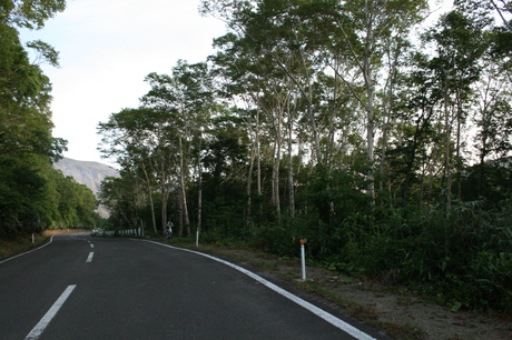 a0279883_8551548.jpg