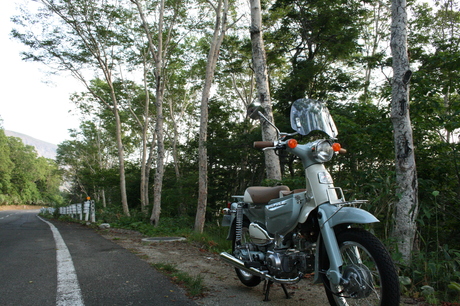 a0279883_8581073.jpg