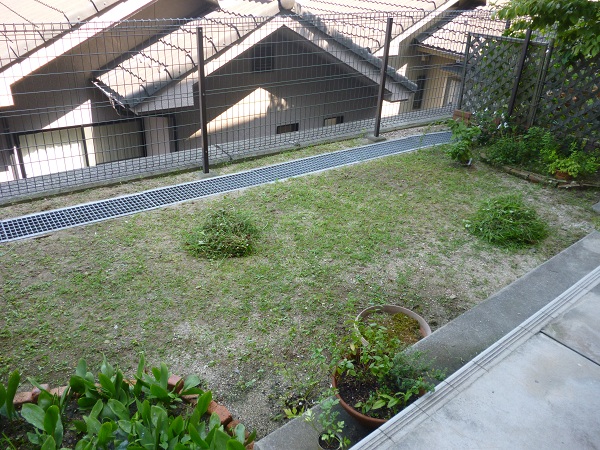 e0095183_14482571.jpg