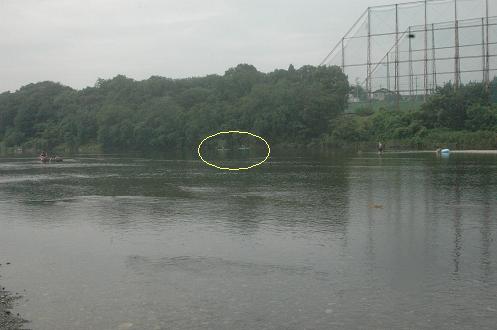c0123890_6132584.jpg