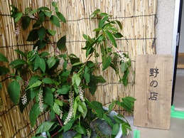 b0146196_2324391.jpg