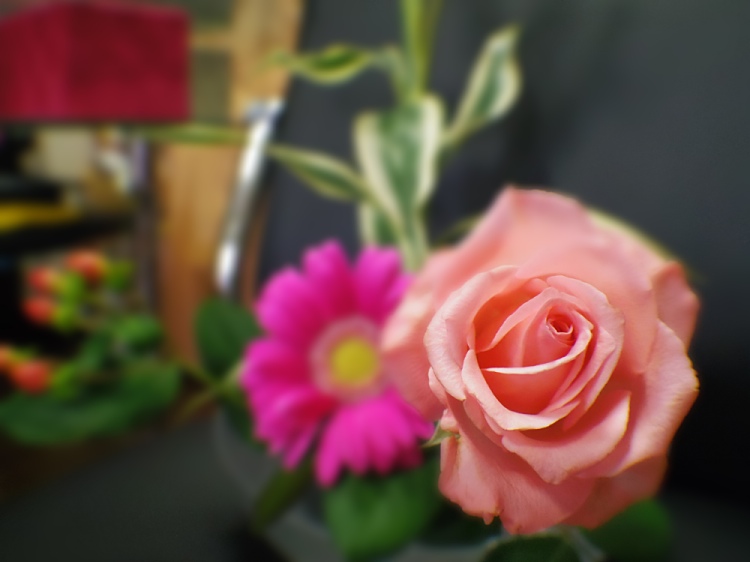c0187503_2213779.jpg