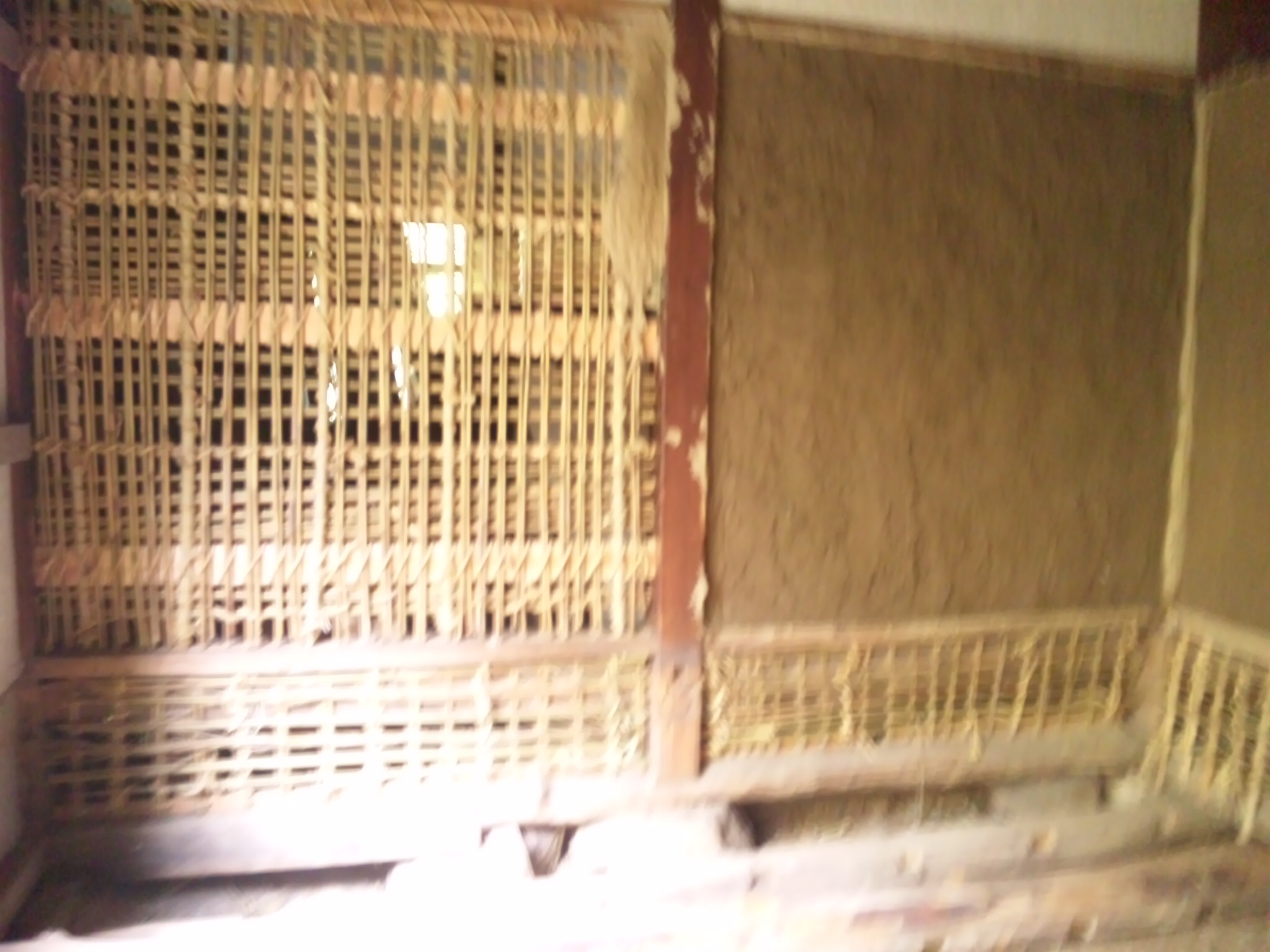 c0126205_1024367.jpg