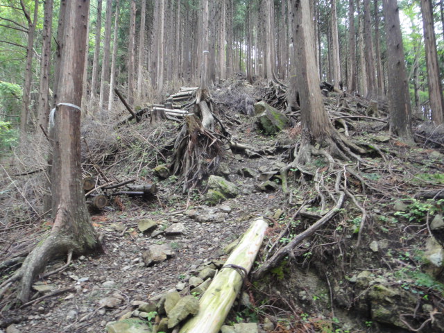 c0175712_23181899.jpg