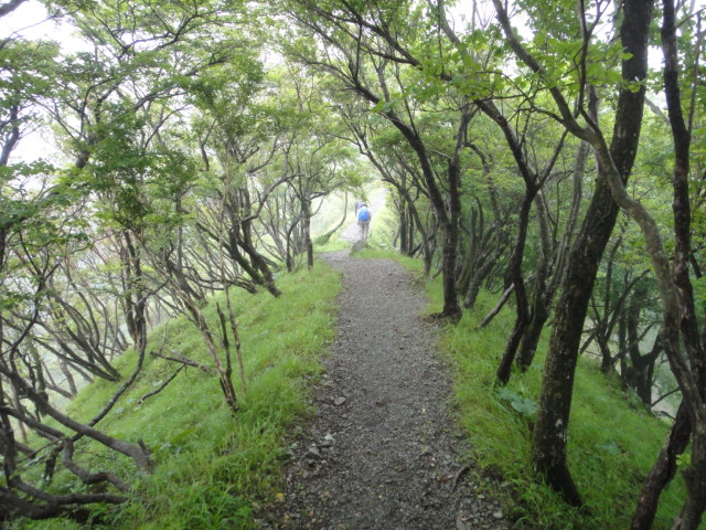c0175712_23194936.jpg