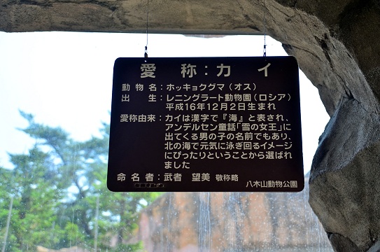 a0151913_0251194.jpg