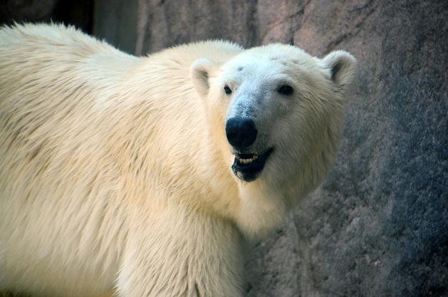 a0151913_1101559.jpg