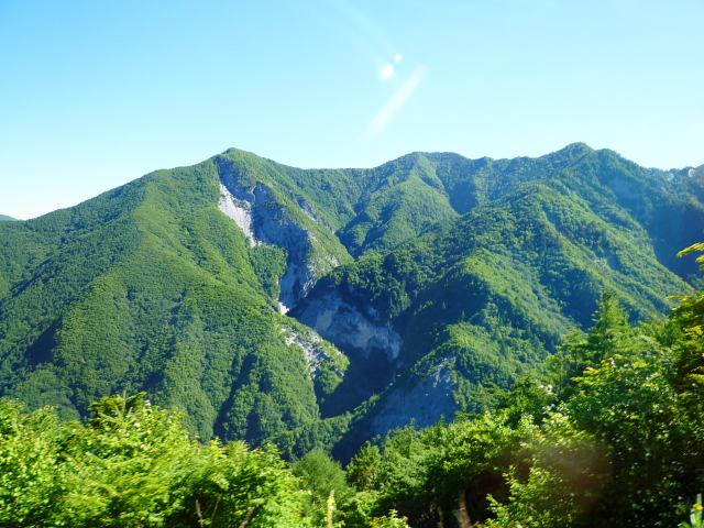 d0170615_9115234.jpg