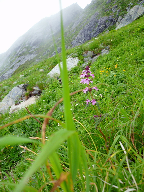 d0170615_9153796.jpg