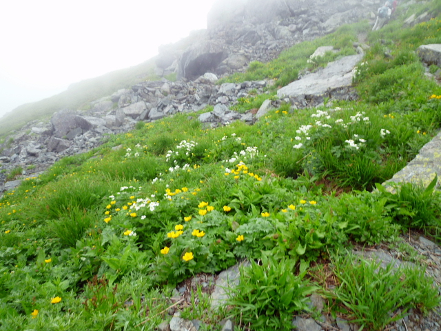 d0170615_9154846.jpg