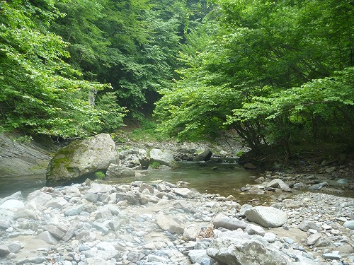 d0227723_23283981.jpg