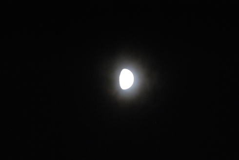 e0202231_15282437.jpg