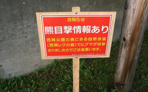 c0051132_21321696.jpg