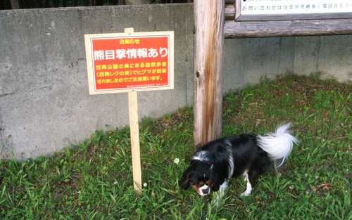 c0051132_21324597.jpg