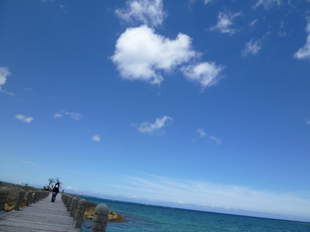 a0167335_2126521.jpg