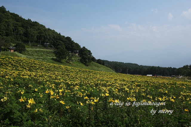 a0207736_2335317.jpg