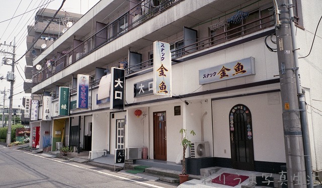a0009142_9391772.jpg