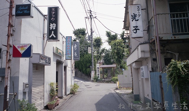 a0009142_93922.jpg